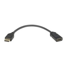   	     	DisplayPort is a port standard for digital audio and video. If you have DisplayPort in a device you would like to connect to your TV via the HDMI input, then this adapter is the solution for you!  